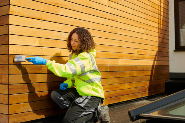 Best Insulated Siding Installation  in Verona Walk, FL